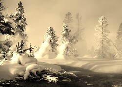 Szary + Sepia