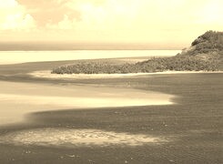 Szary + Sepia