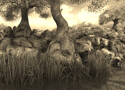 Szary + Sepia