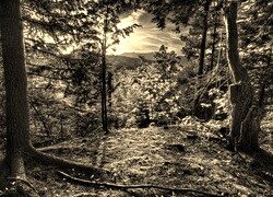 Szary + Sepia