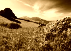 Sepia