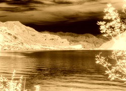 Sepia + Negatyw