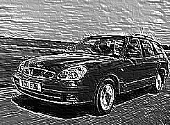 Skamielina