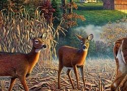 Oryginalny obrazek