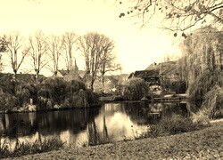 Sepia