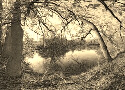 Szary + Sepia