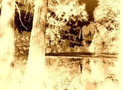 Sepia + Negatyw
