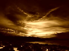 Sepia