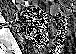Skamielina