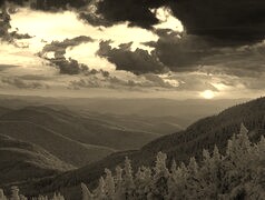 Szary + Sepia