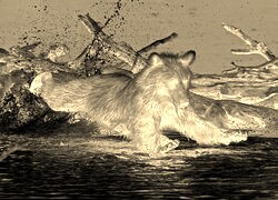 Sepia + Negatyw