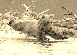 Sepia