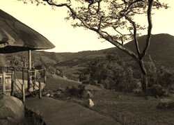 Szary + Sepia