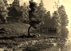 Szary + Sepia