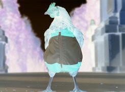Negatyw