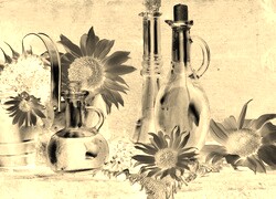 Sepia + Negatyw