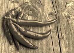 Szary + Sepia