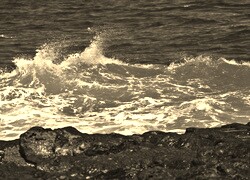 Szary + Sepia