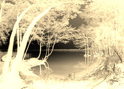 Sepia + Negatyw