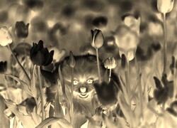 Sepia + Negatyw