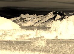 Sepia + Negatyw