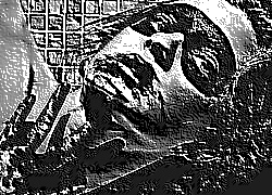 Skamielina