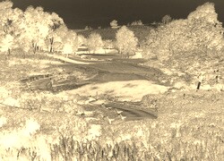 Sepia + Negatyw