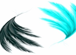 Negatyw