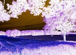 Negatyw