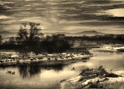 Sepia
