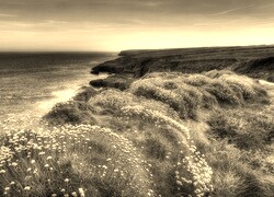 Szary + Sepia