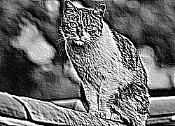 Skamielina