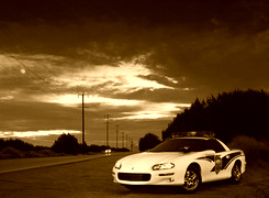 Sepia