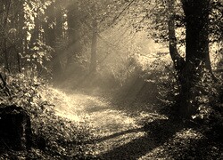 Sepia