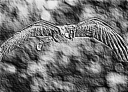 Skamielina