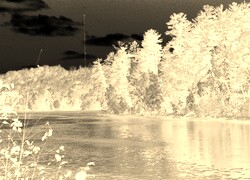 Sepia + Negatyw