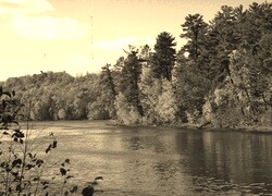 Szary + Sepia