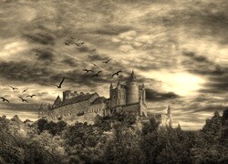 Szary + Sepia