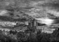 Szary