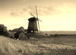 Szary + Sepia