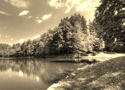 Szary + Sepia