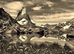 Szary + Sepia