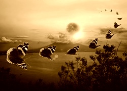 Sepia