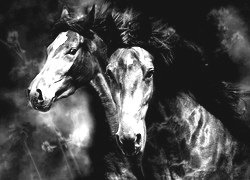 Szary + Sepia