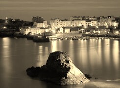 Sepia
