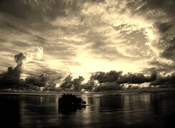 Szary + Sepia