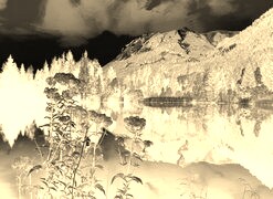 Sepia + Negatyw