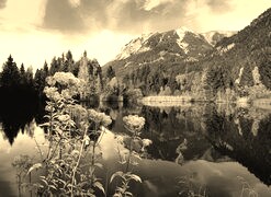 Szary + Sepia