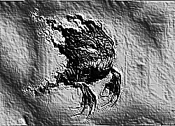 Skamielina