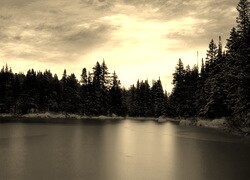 Szary + Sepia